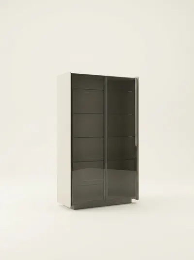 YOU 51 display cabinet